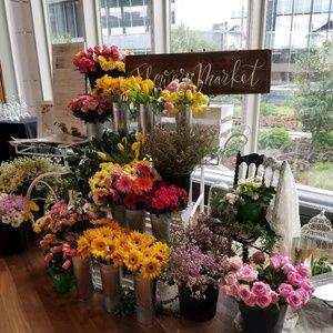 Meet your Posher, Therese